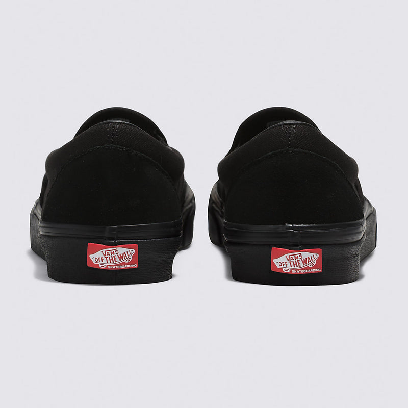 Vans Skate Slip-On Shoe