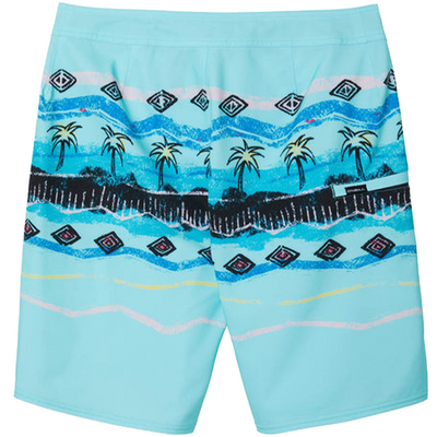 O'Neill Hyperfreak Heist Print Boardshorts - Shop Best Selection Of Mens Boardshorts At Oceanmagicsurf.com